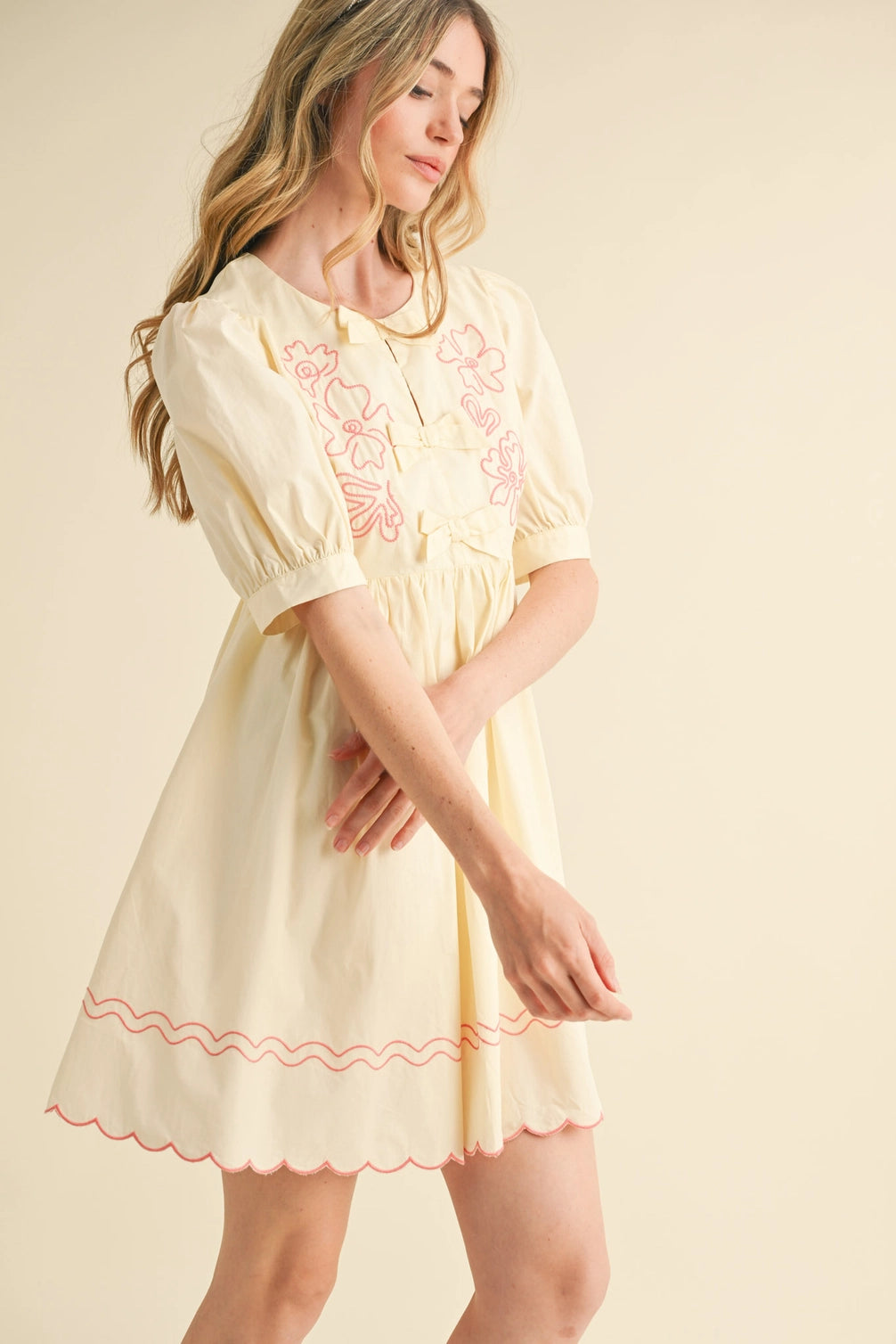 Floral Embroidery Bow Detail Mini Dress